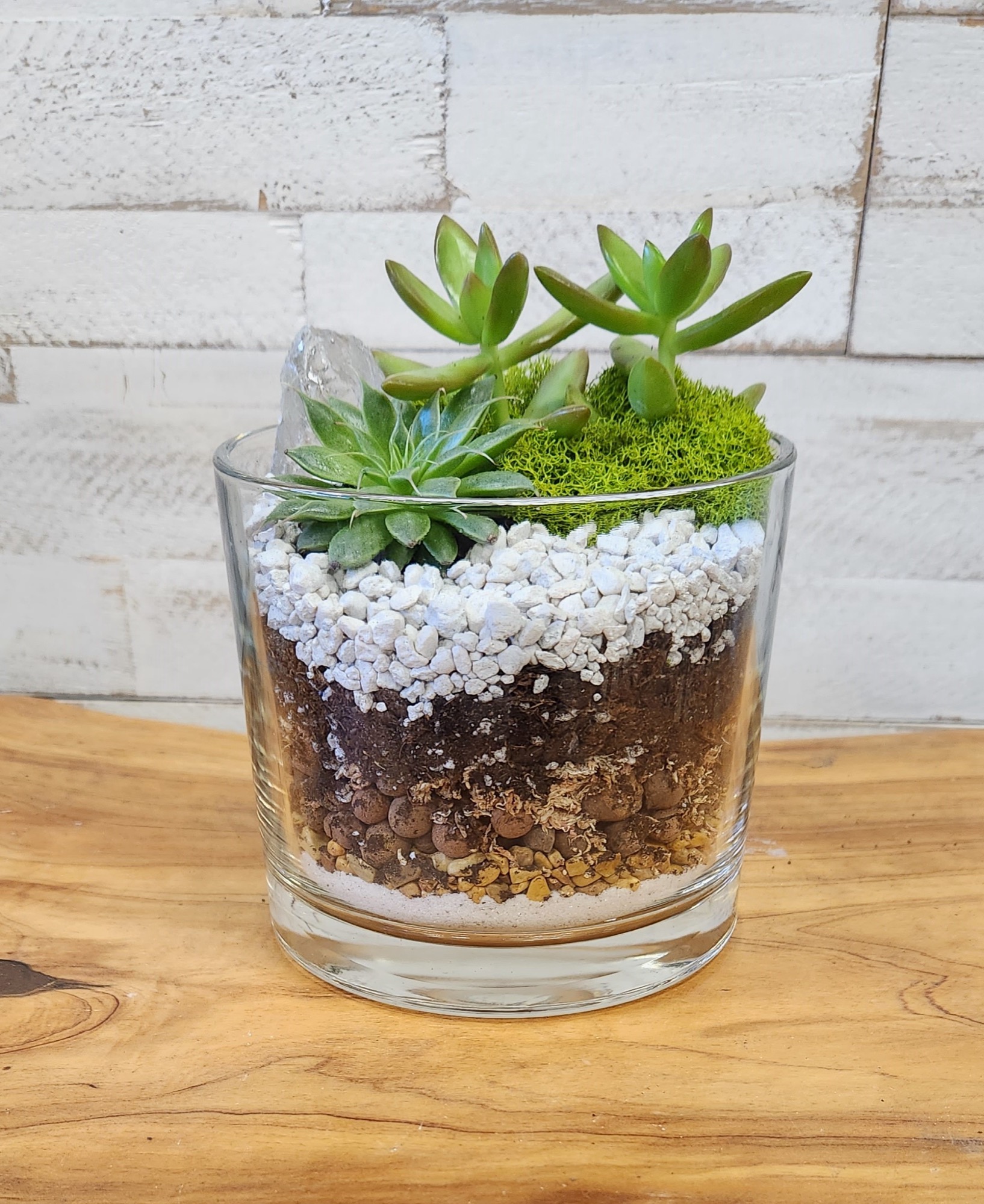 Current Obsession, a layered succulent terrarium with white stones, green moss, and a crystal