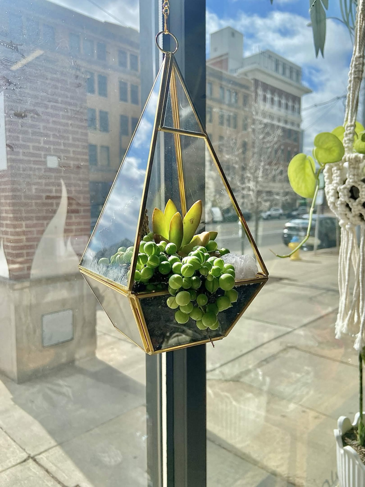 A geometric gold-framed glass terrarium with plants and stones inside