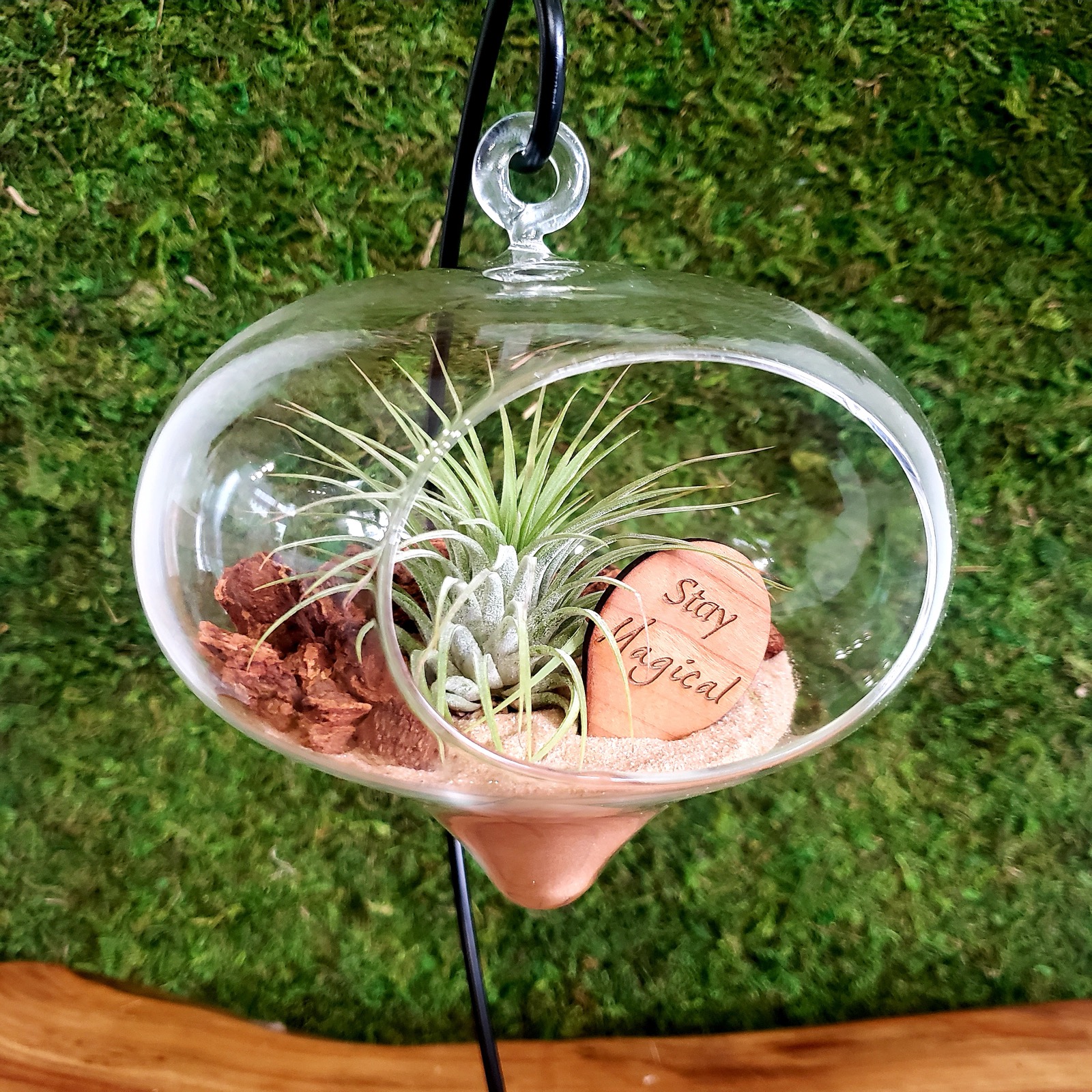 A hanging glass orb terrarium with an air plant and a Stay Magical wood tag, against a moss wall