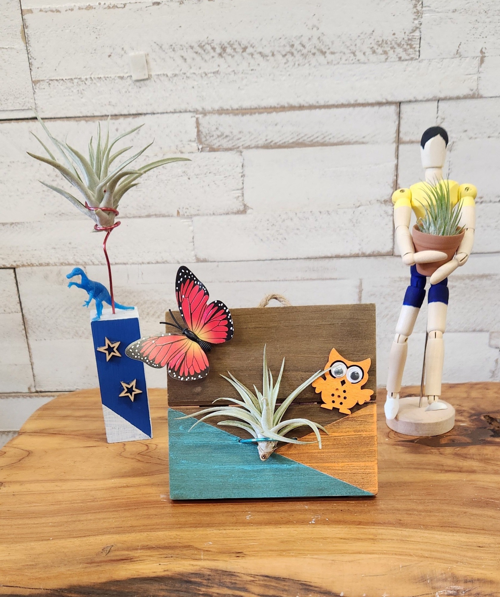A kid-themed air plant board with a dinosaur, butterfly, and owl, made at the studio