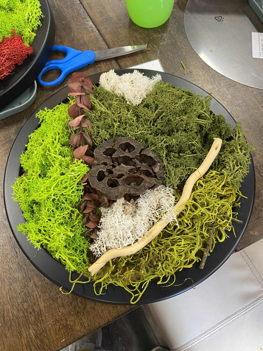 A terrarium being layered with moss in progress