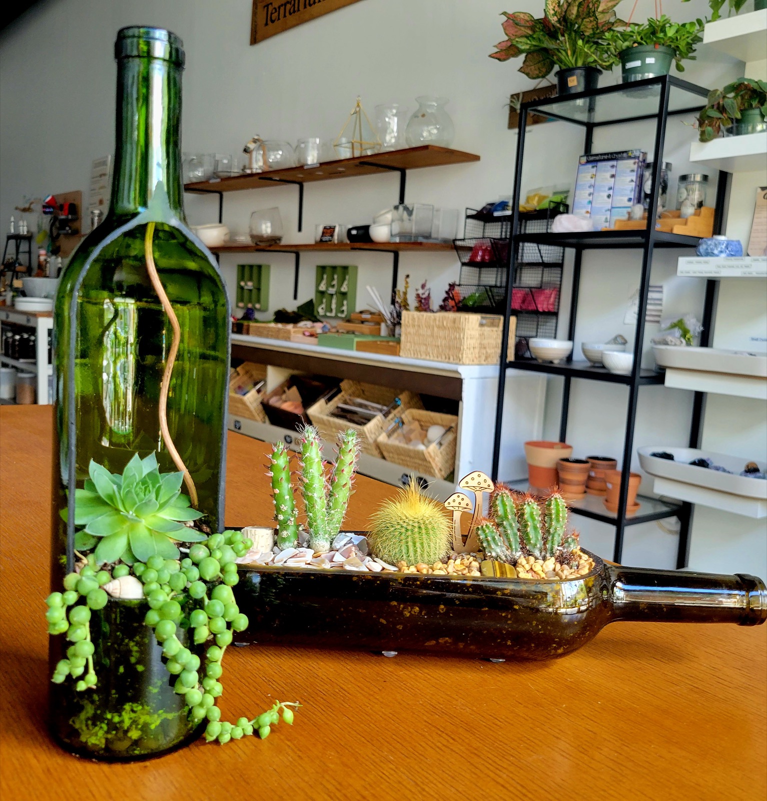 A cut wine bottle planted with cacti and a mushroom accent, beside a standing green bottle holding a succulent and string of pearls