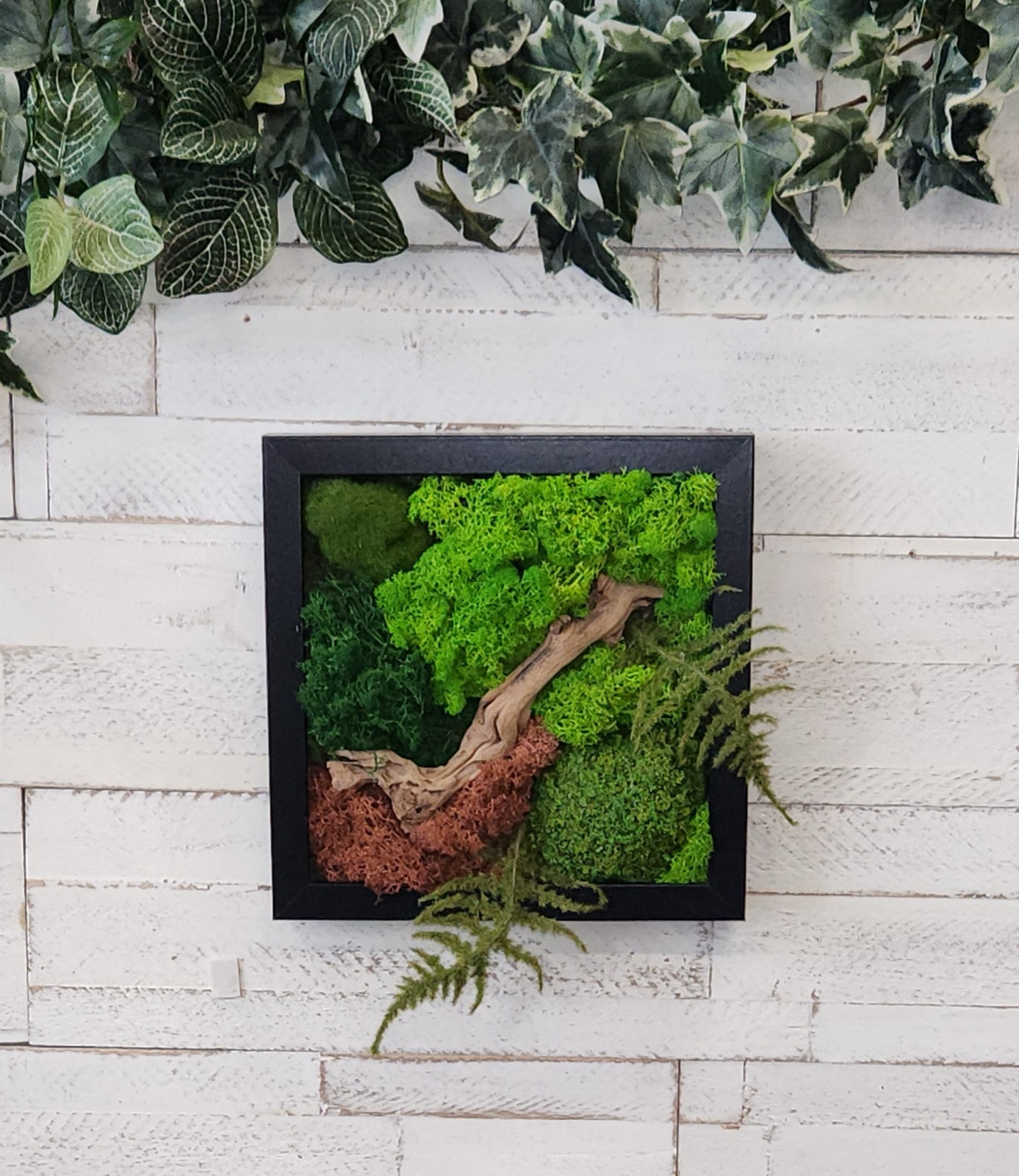 A black framed moss art panel in layered greens and rust with driftwood and fern, hung on the white plank wall