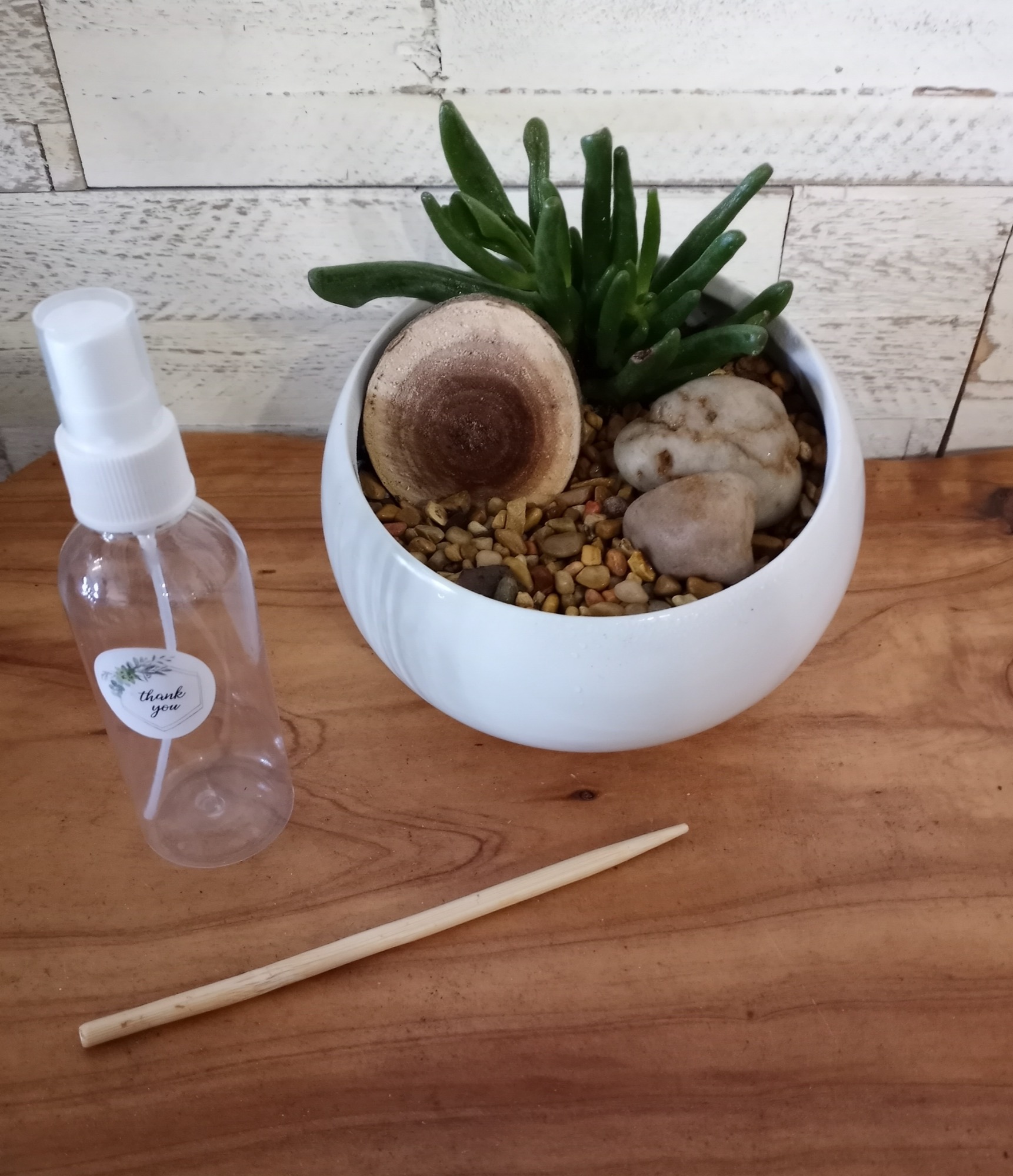 Sahara Dreams succulent terrarium kit, boxed with vessel, base layers, and plants