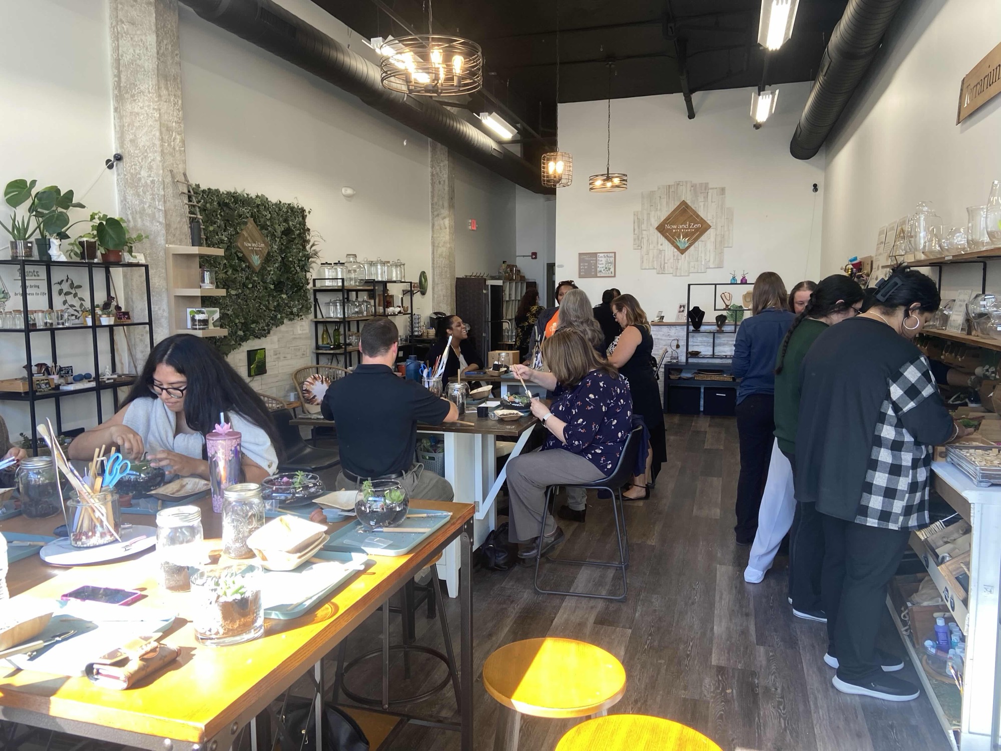 Inside the Now and Zen shop with plants and finished terrariums on display