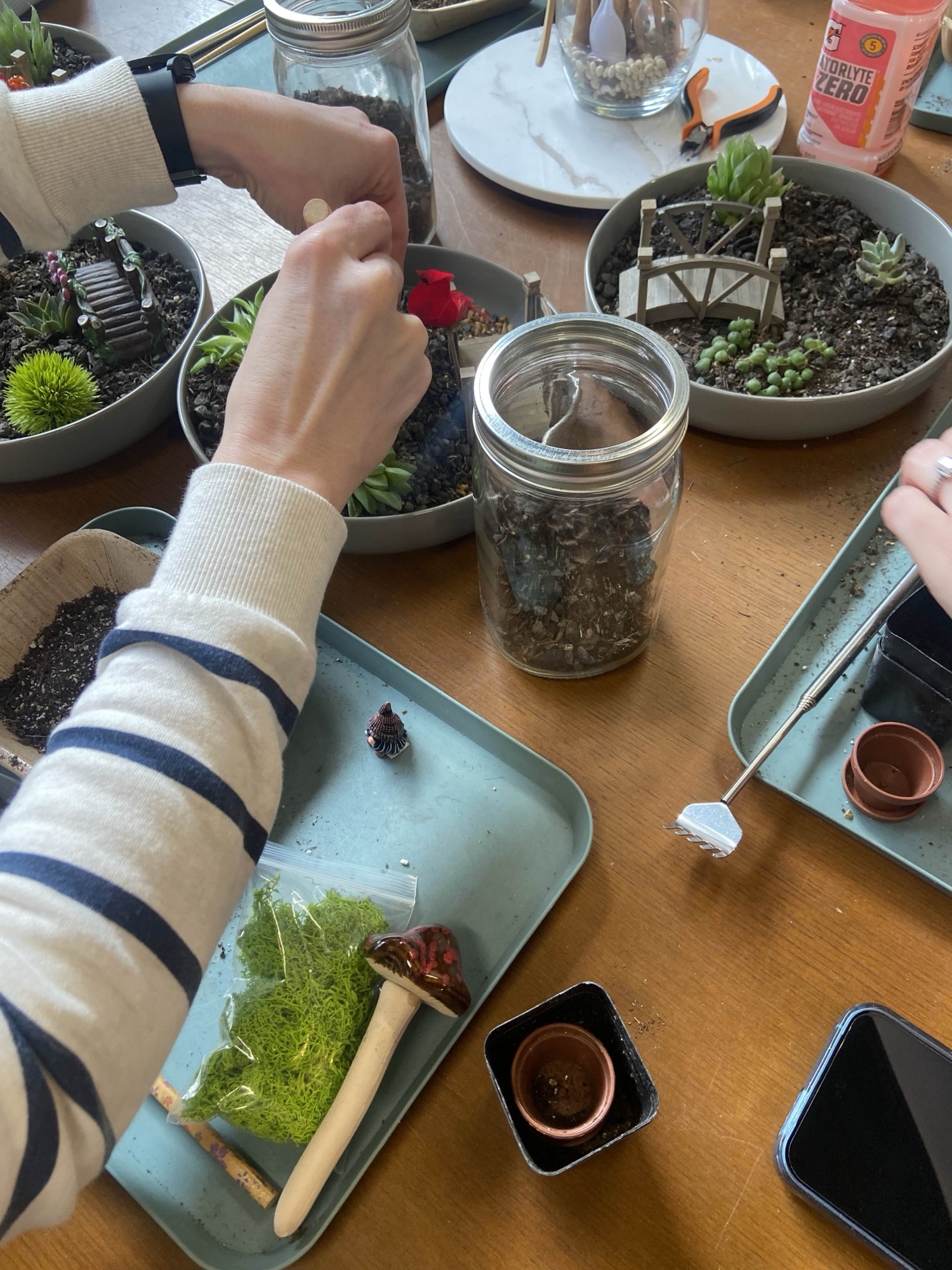 Terrarium building materials laid out and ready at a shared table