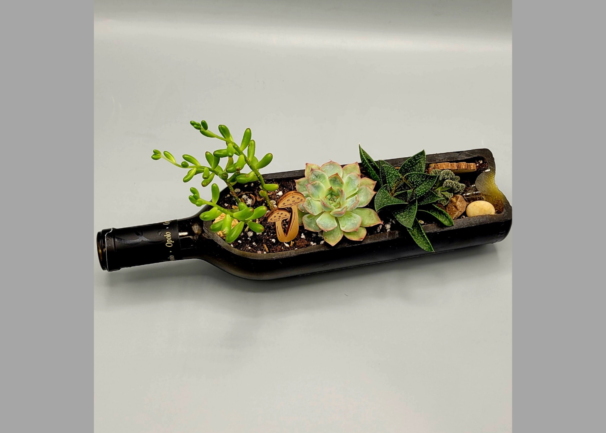 A drink beside a finished terrarium on the studio counter